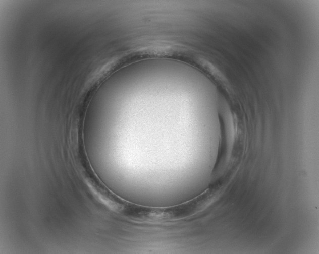 X0000081630493200702051302