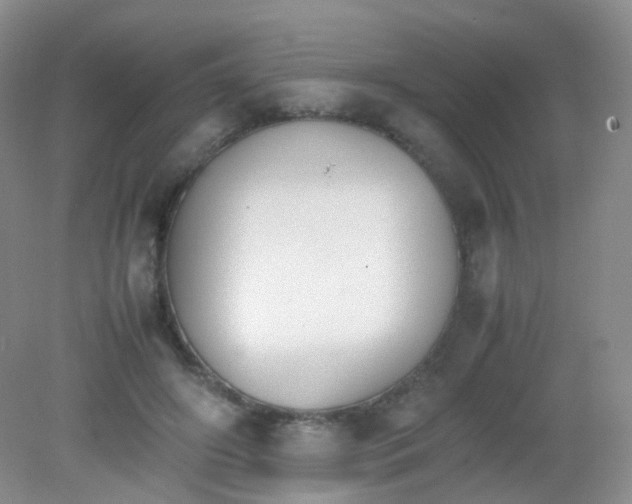 X0000081630498200702051302