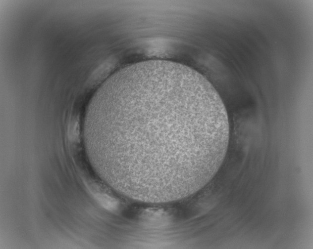 X0000081630502200702051302