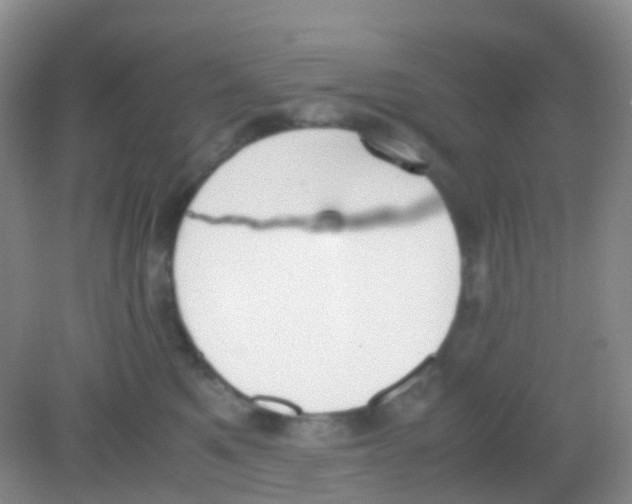 X0000081630521200702051302