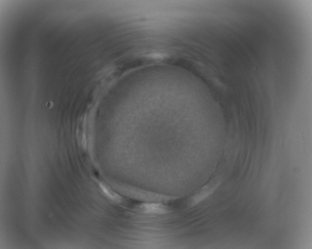 X0000081630528200702051302