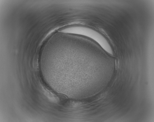 X0000081630531200702051301