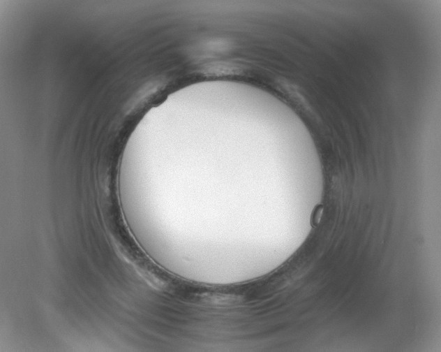X0000081630539200702051301