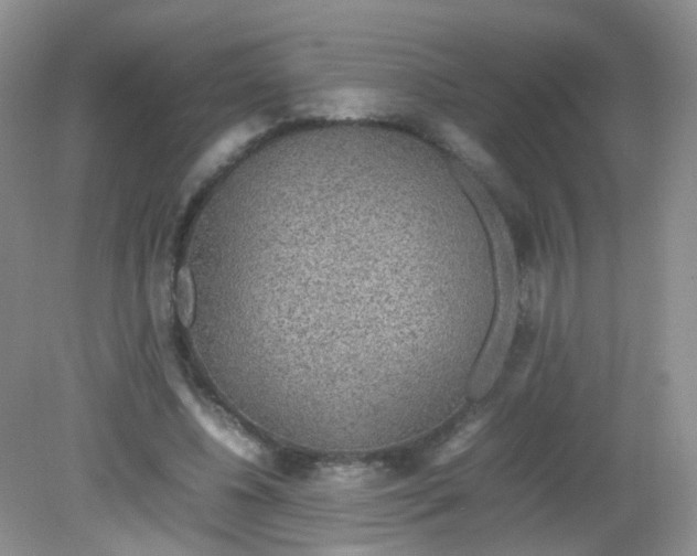X0000081630540200702051301