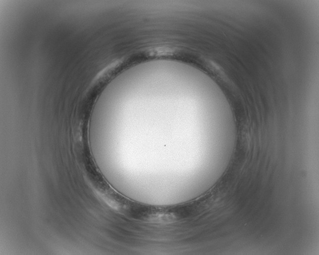 X0000081630543200702051301