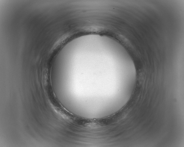 X0000081630544200702051301
