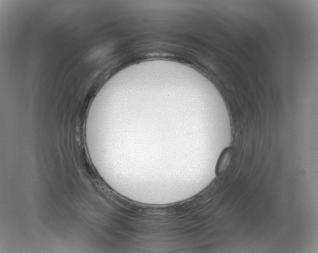 X0000081630547200702051301