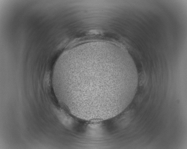 X0000081630560200702051301