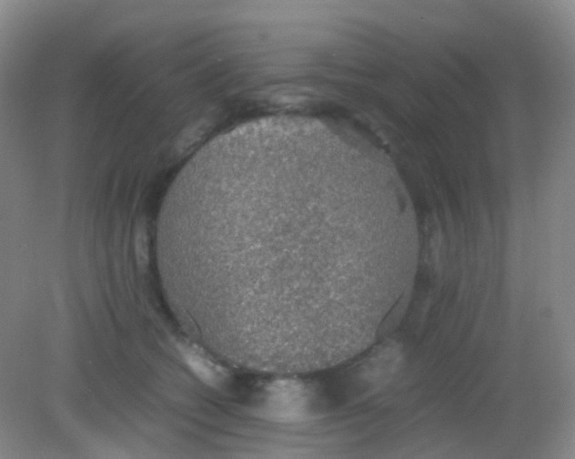 X0000081630562200702051301