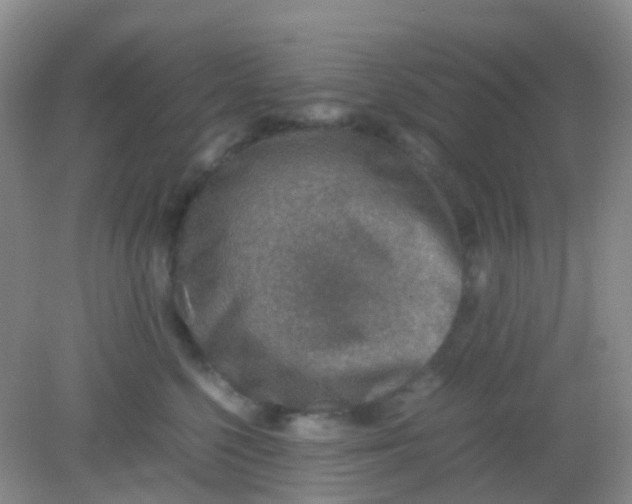 X0000081630568200702051301