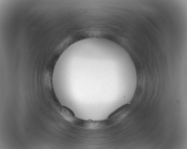 X0000081630575200702051302