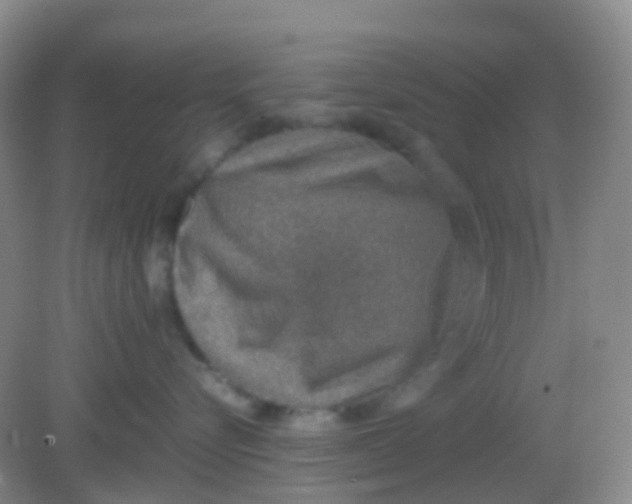 X0000081630576200702051302