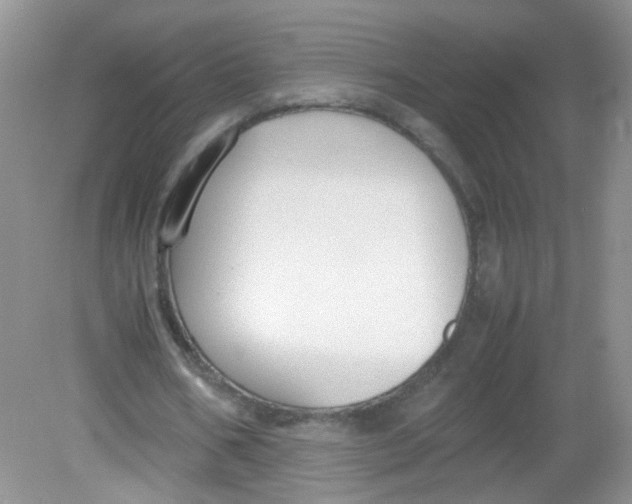 X0000081630578200702051301