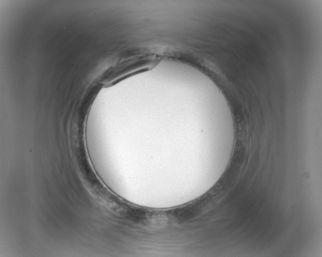 X0000081630587200702051301