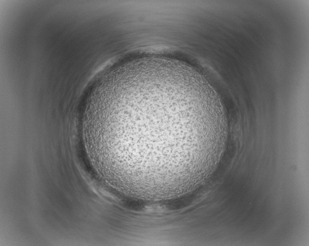 X0000081630591200702051301