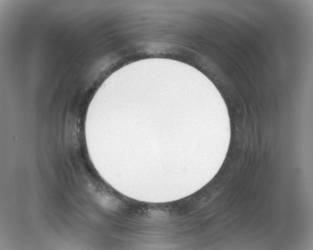 X0000081630592200702051301