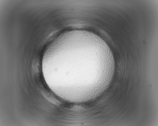 X0000081630596200702051300