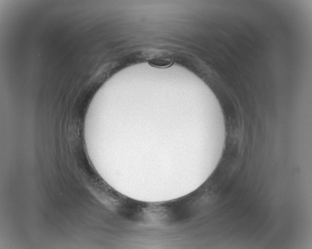 X0000081630603200702051300