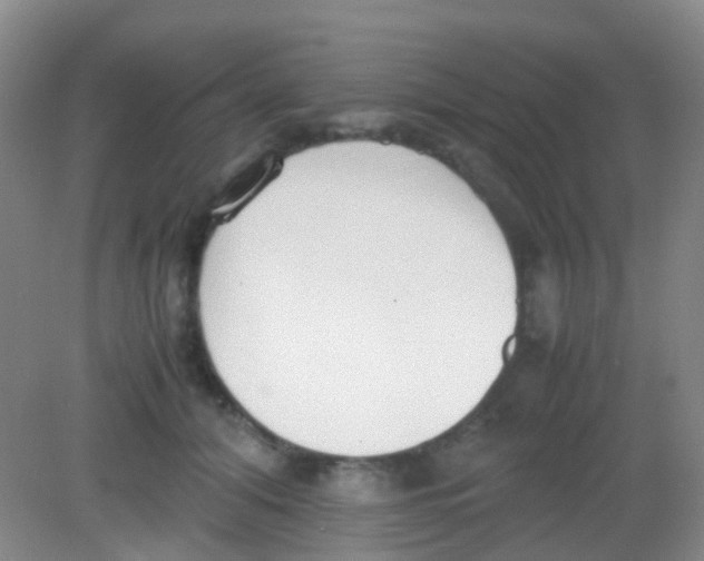 X0000081630608200702051300