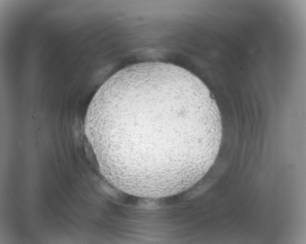 X0000081630624200702051300
