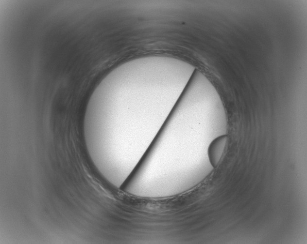 X0000081630641200702051259