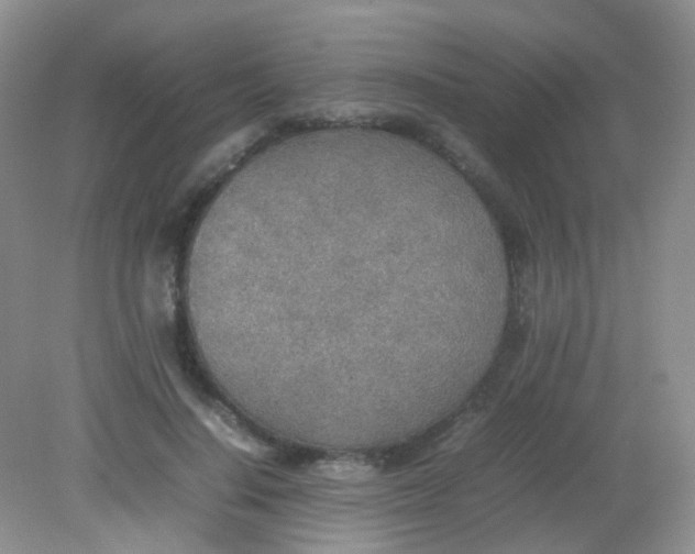 X0000081630644200702051300