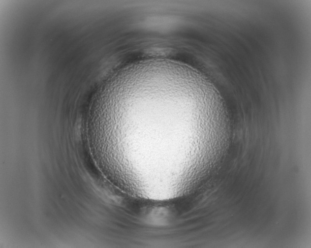 X0000081630647200702051300