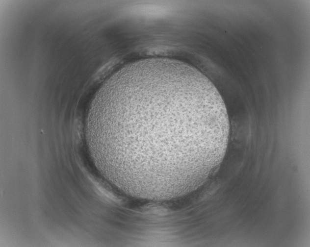 X0000081630648200702051300