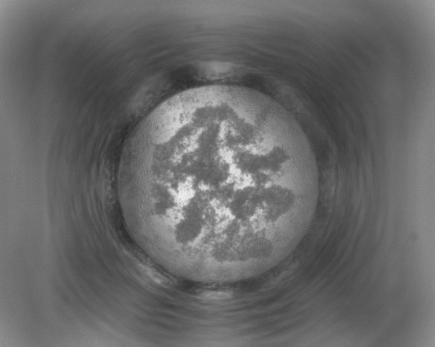X0000081630653200702051300