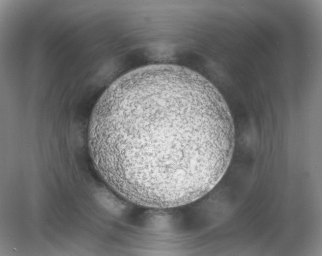 X0000081630658200702051300