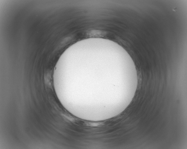 X0000081630663200702051300