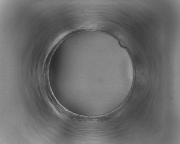 X0000081630674200702051259