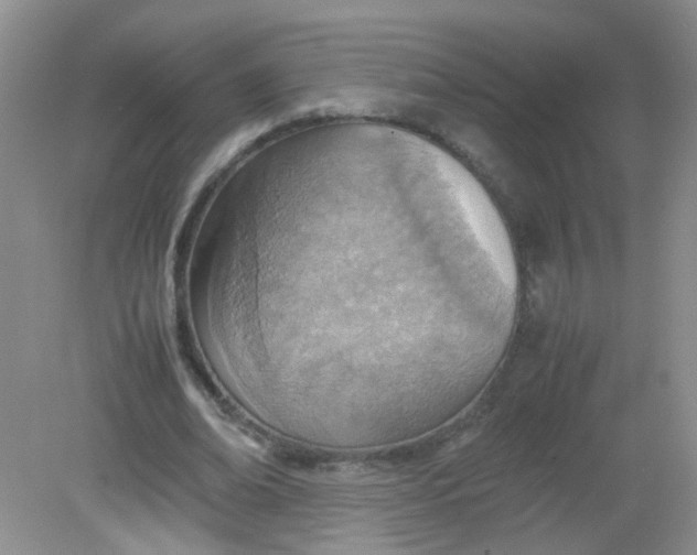 X0000081630678200702051259