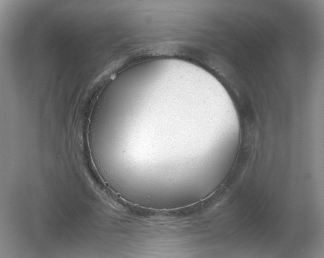 X0000081630681200702051259
