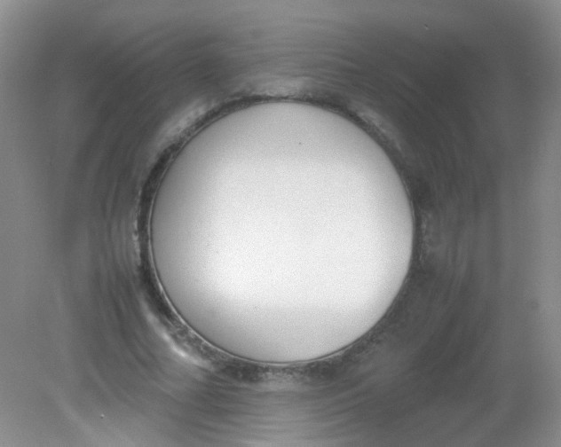 X0000081630682200702051259