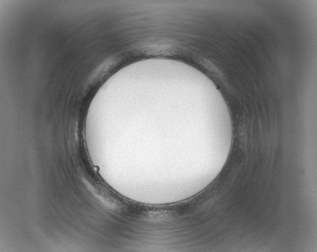 X0000081630686200702051259