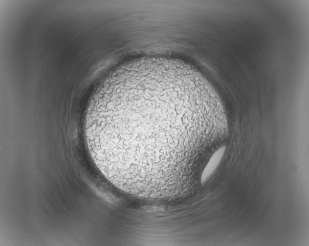X0000081630687200702051259