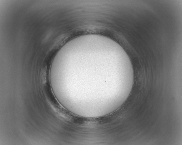 X0000081630694200702051259