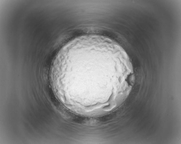 X0000081630695200702051259