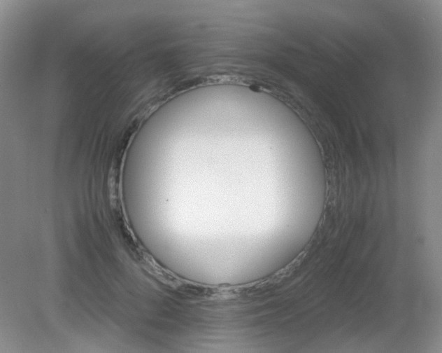 X0000081630696200702051259