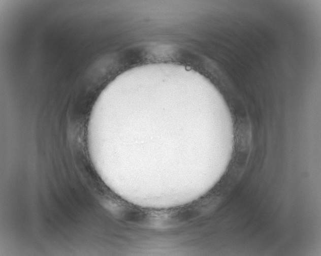 X0000081630701200702051259