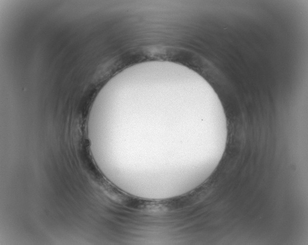 X0000081630702200702051259