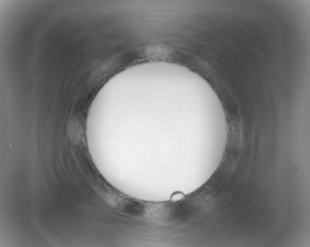 X0000081630705200702051259