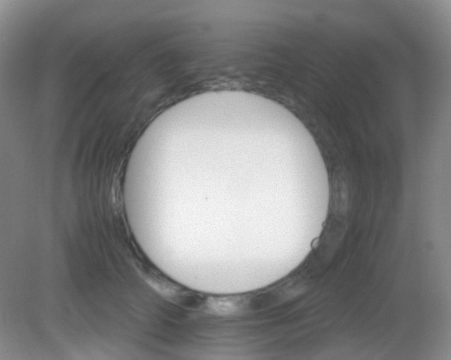 X0000081630706200702051259