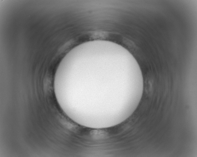 X0000081630714200702051259