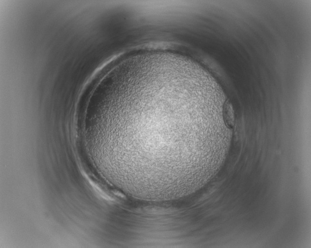 X0000081630722200702051258