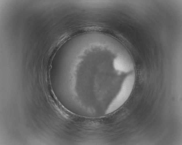 X0000081630729200702051258