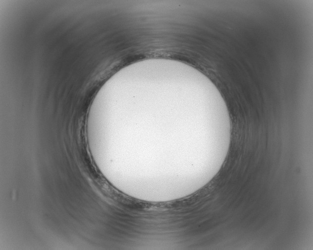 X0000081630742200702051258