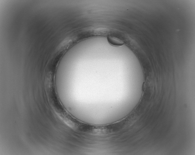 X0000081630744200702051258