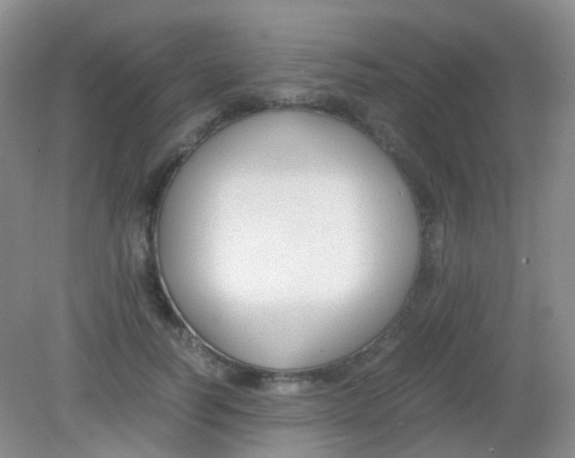X0000081630746200702051258